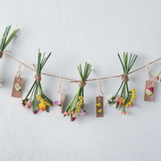 Paper Quilling for Beginners: A Complete All-In-One Guide to Creating Paper Flowers, Plants, Vegetables and Other Decorative Items! - Nakatani, Motoko Maggie - New