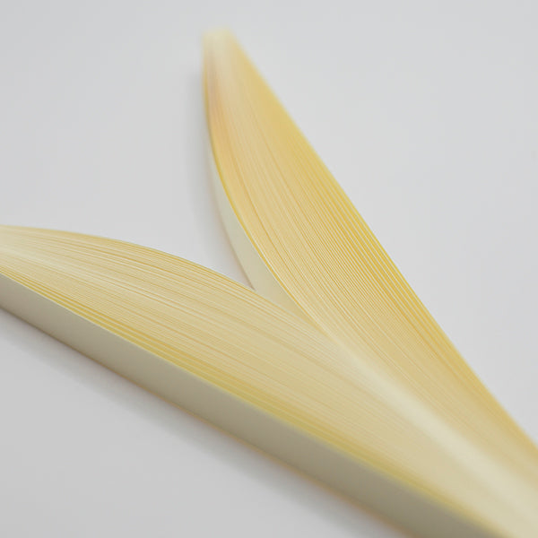 Prismatic Papers - Endangered Species - Solid Color Quilling Paper Strips