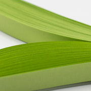 Prismatic Papers - Fried Green Tomatoes - Solid Color Quilling Paper Strips