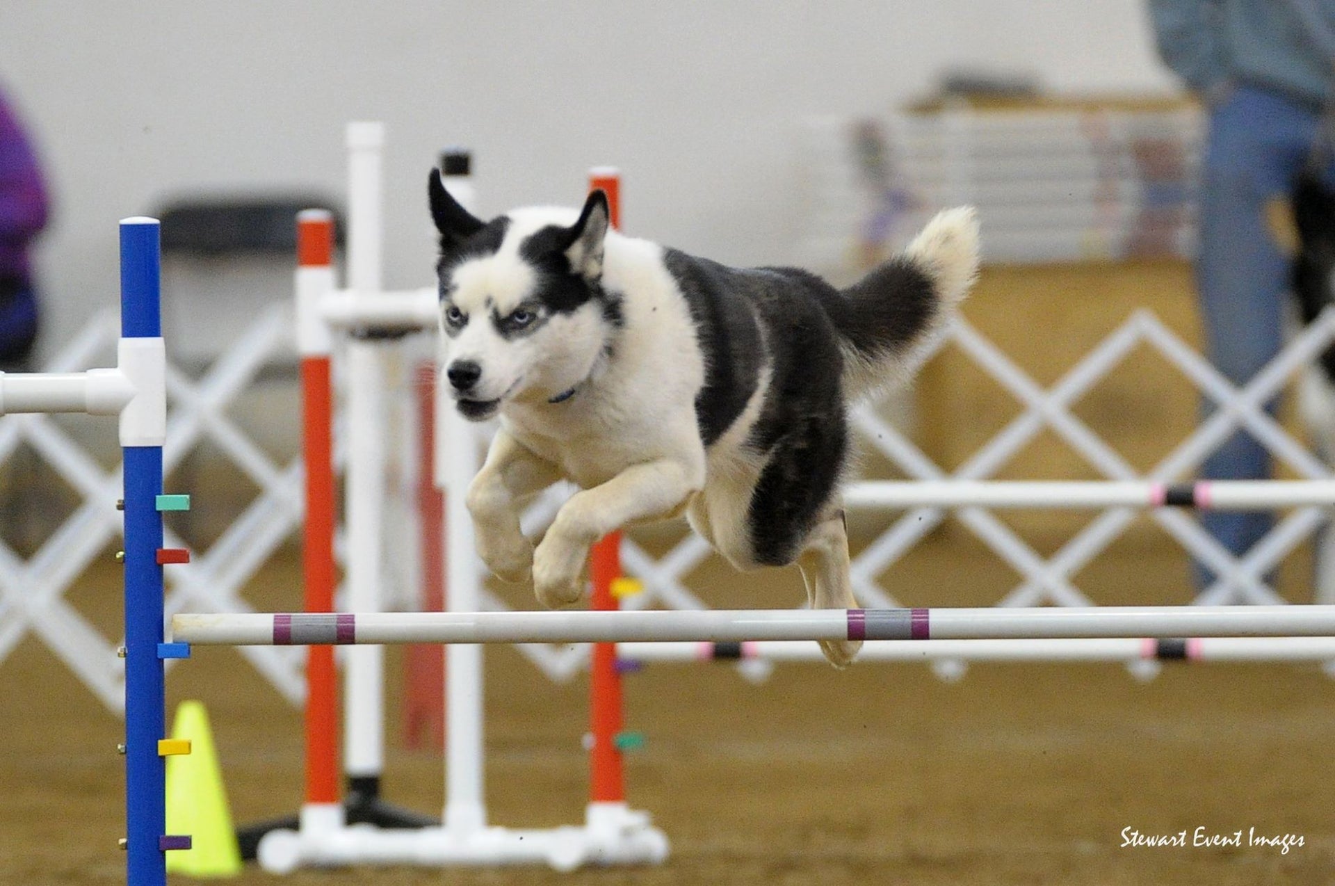 Prismatic Papers - Nova - Solid Color Quilling Paper Strips