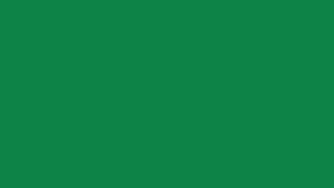 JUYA 27 - Christmas Green - Solid Color Quilling Paper Strips