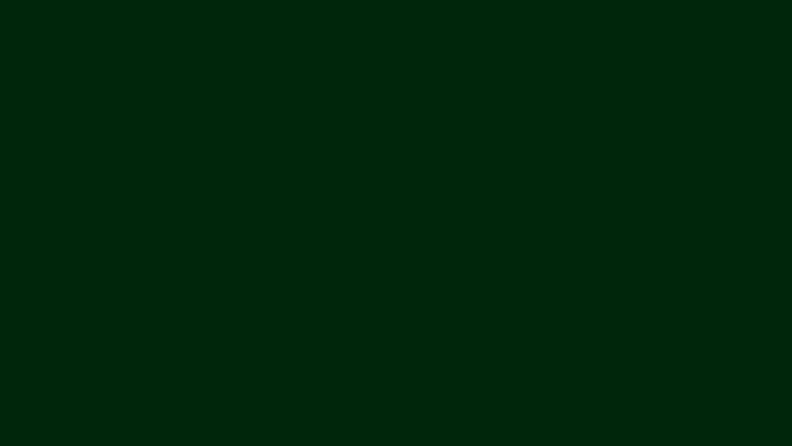 JUYA 28 - Dark Green - Solid Color Quilling Paper Strips