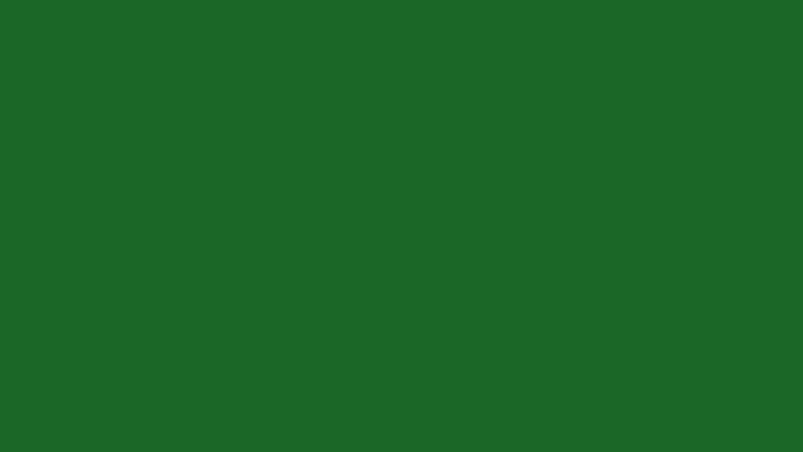 JUYA 53 - Parrot Green - Solid Color Quilling Paper Strips