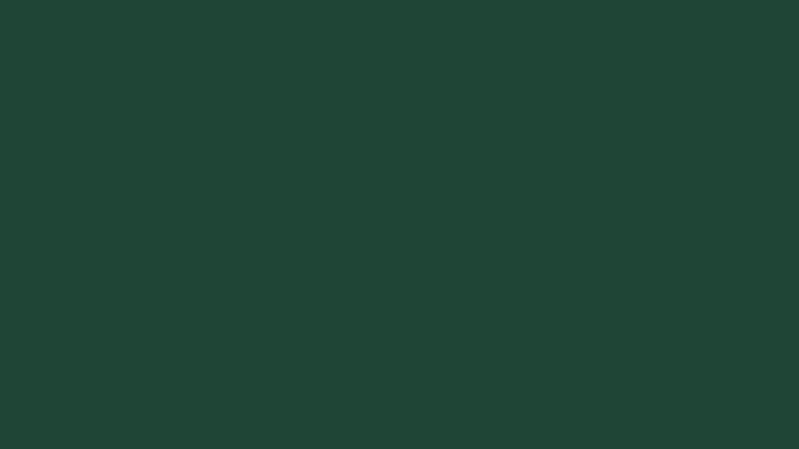 JUYA 54 - Forest Green - Solid Color Quilling Paper Strips