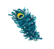 Quilling Peacock Feather DIY kit with step-by-step tutorial by Her Paper Paradise