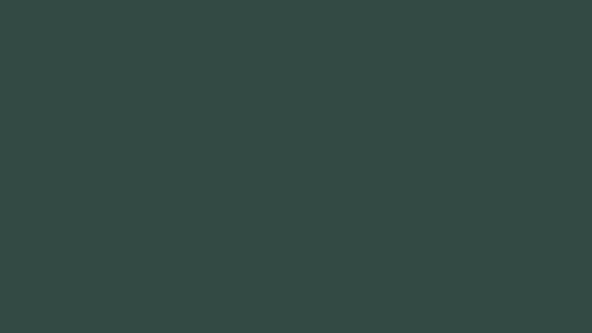 JJ Quilling - Dark Holly - Quilling Paper Strips