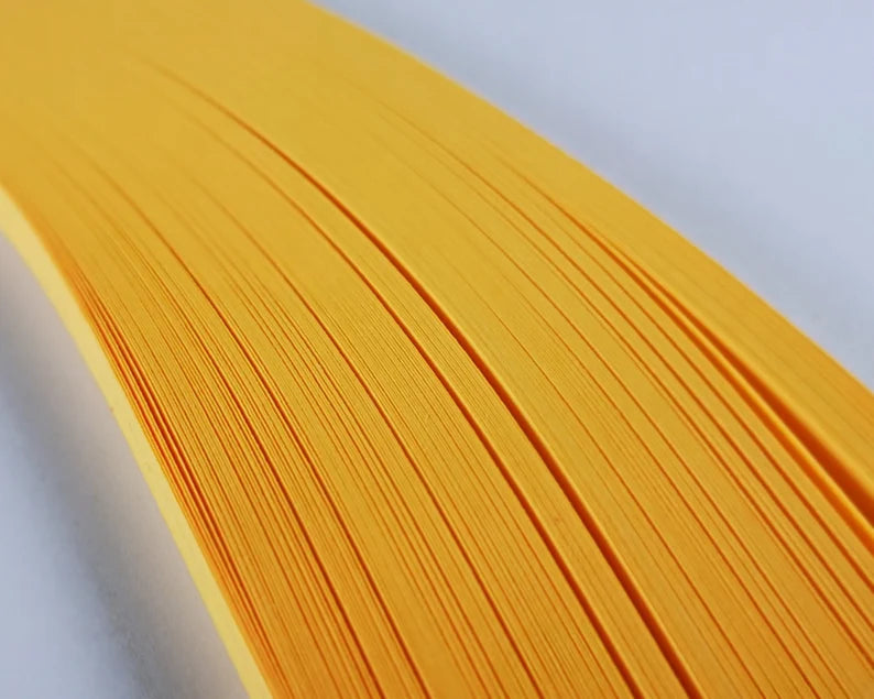 Buy Corrugated, Color, Neon & Cardstock Paper