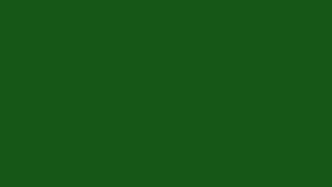 Quilled Creations Quillography 3110 - Forest Green - Cardstock Solid Color Quilling Paper Strips Quilled Creations Quillography solid color quilling paper strips resist fading, are archival safe and are available in 1/8" and 1/4"widths.